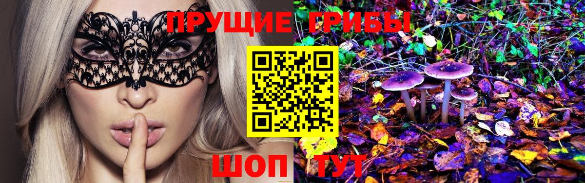 Красноуфимск  Галлюциногенные грибы Psilocybe  Вход с VPN  Галлюциногенные грибы GOLDEN TEACHER 